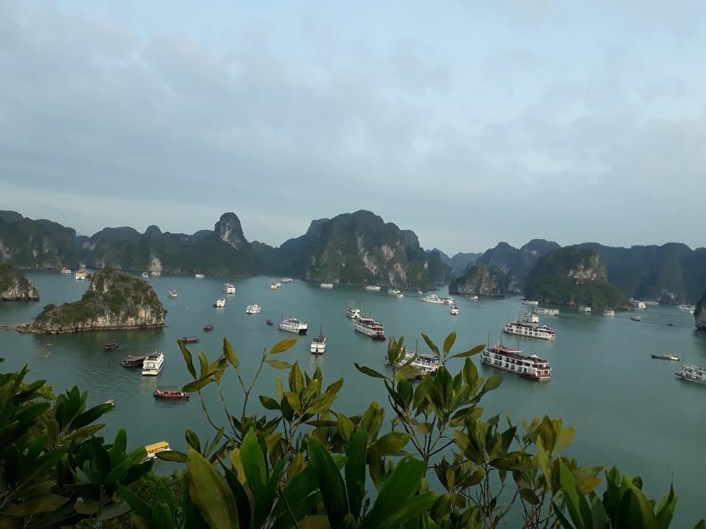 فندق Halong Majestic Legend Cruise ها لونغ المظهر الخارجي الصورة